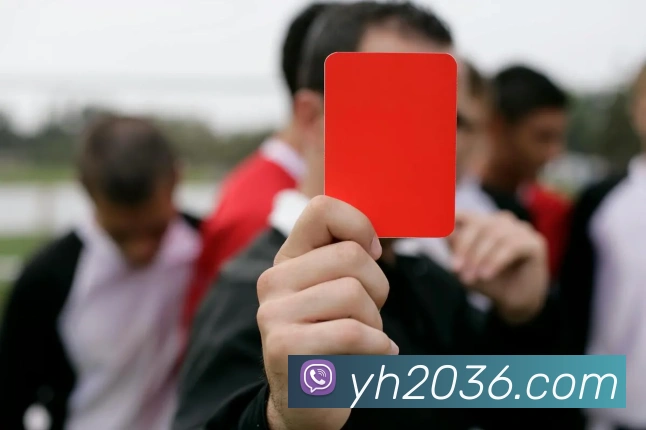 银河官方网站澳门平台生态图